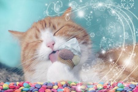 Cats gladly eat ice cream