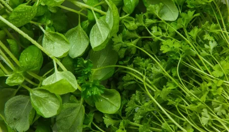 Health Benefits Of Leafy Greens
